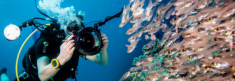 Here are the three marine life contest winners