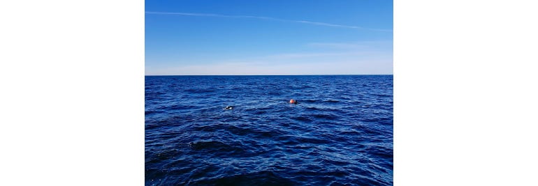 The Baltic Unveils Treasured Secrets with The Help of Suunto Divers