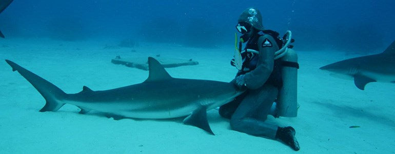 Sharks galore as Cristina Zenato takes over @suuntodive
