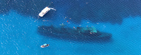 7 incredible shipwreck dives