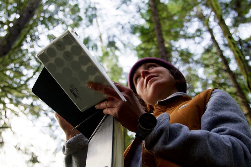 Peak Creator Series – The Artist