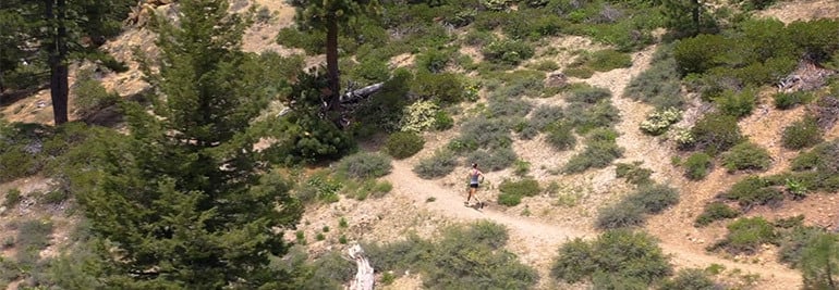 New life through running