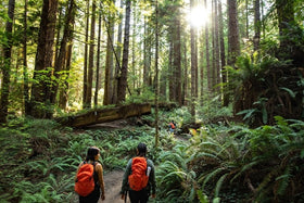 Allyship in the outdoors: what is it and how to be a good ally for others?