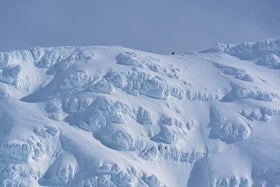 This freerider is going after 30 remote Arctic lines, each one on foot