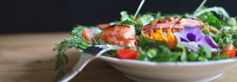 Fuelling the engine: talking nutrition with Melissa Hauschildt