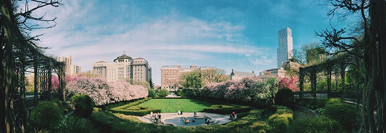 3 must-run routes in New York City