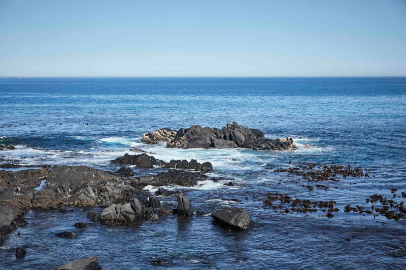 Help end plastic waste with your passion for running