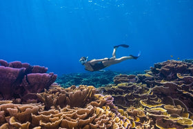 15 tips for beginners to fall in love with snorkeling