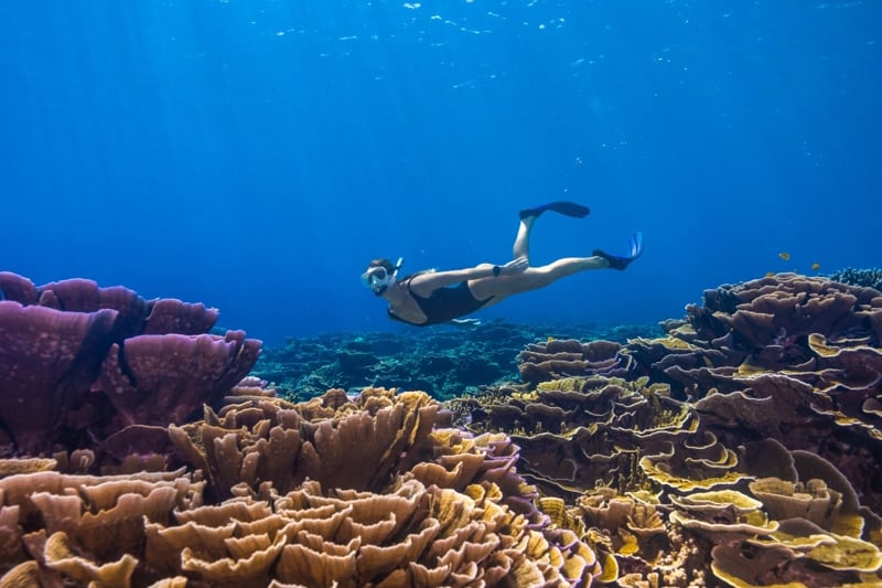 15 tips for beginners to fall in love with snorkeling