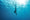 Suunto introduces new dive computer specialized in freediving