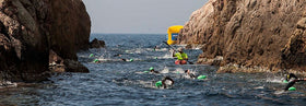 Swimming the wild open waters