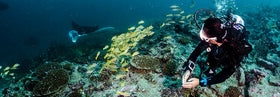 What you absolutely, positively, must bring and do on your first dive holiday