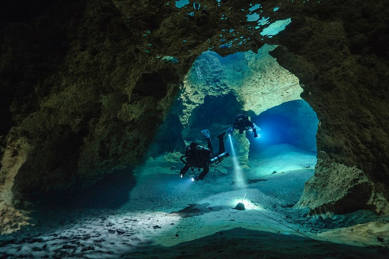 The canary in the coal mine