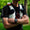 image5.webp