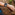 Suunto 24mm Urban 3 SILICON STRAP SAND/ROSEGOLD M