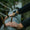 Suunto 9 Baro Titanium Ambassador Edition