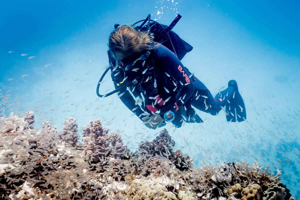 Suunto Zoop Novo Blue