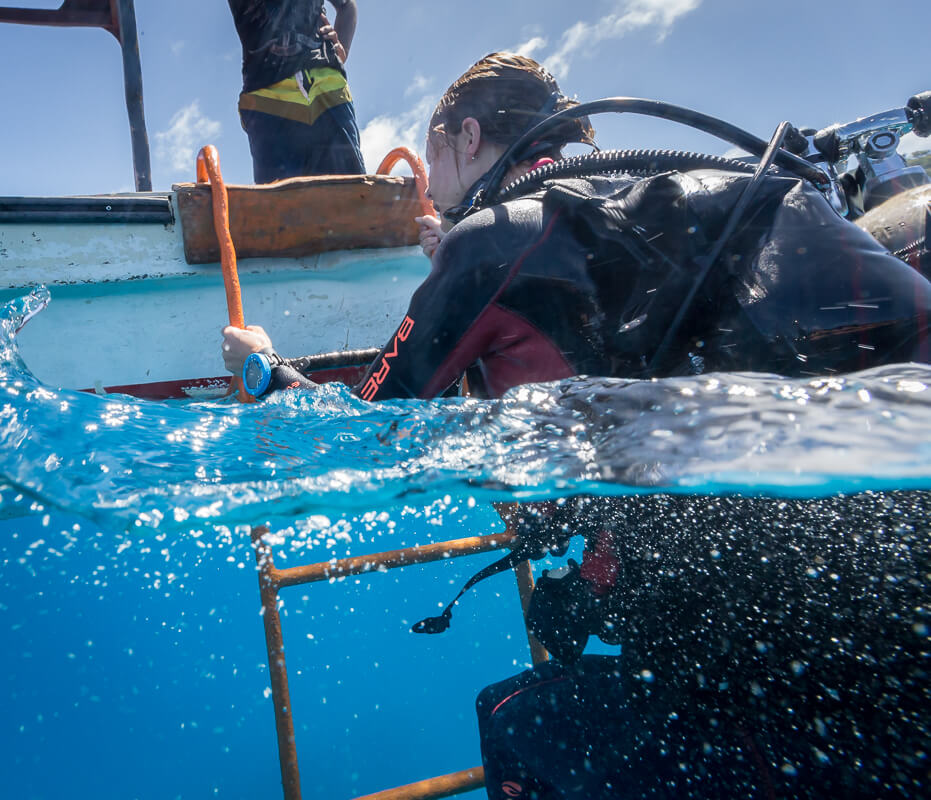 Suunto Zoop Novo Blue